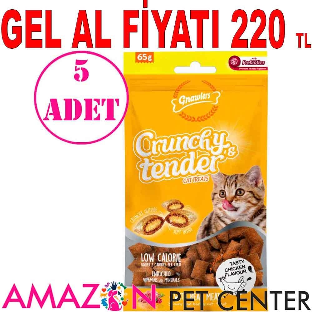 Gnawlers Kedi Ödülü Crunchy & Tender Tavuklu 65 Gr 5 AD 21545009 Amazon Pet Center