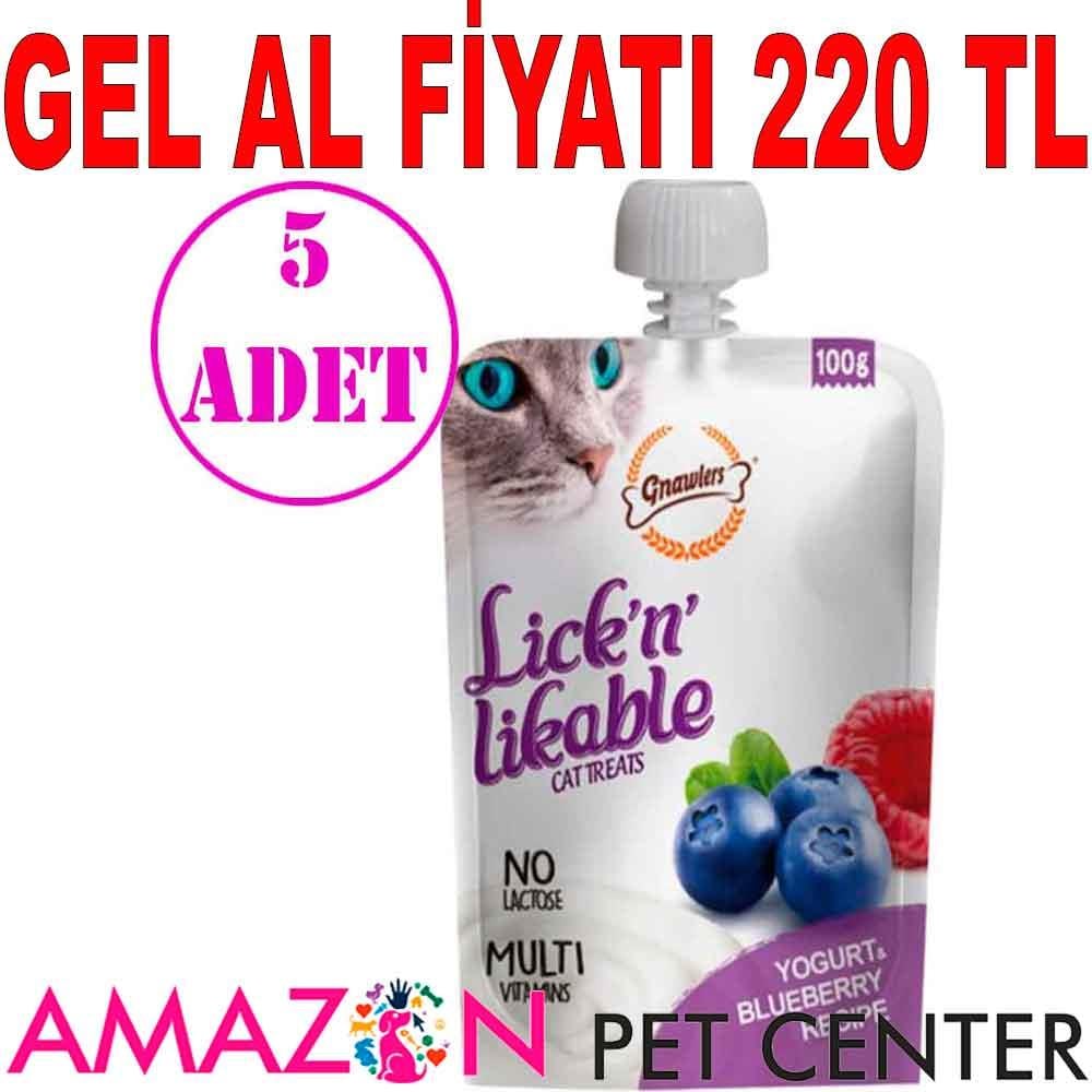 Gnawlers Kedi Ödülü Yoğurtlu ve Yaban Mersinli Krema 100 Gr 5 AD 21484001 Amazon Pet Center