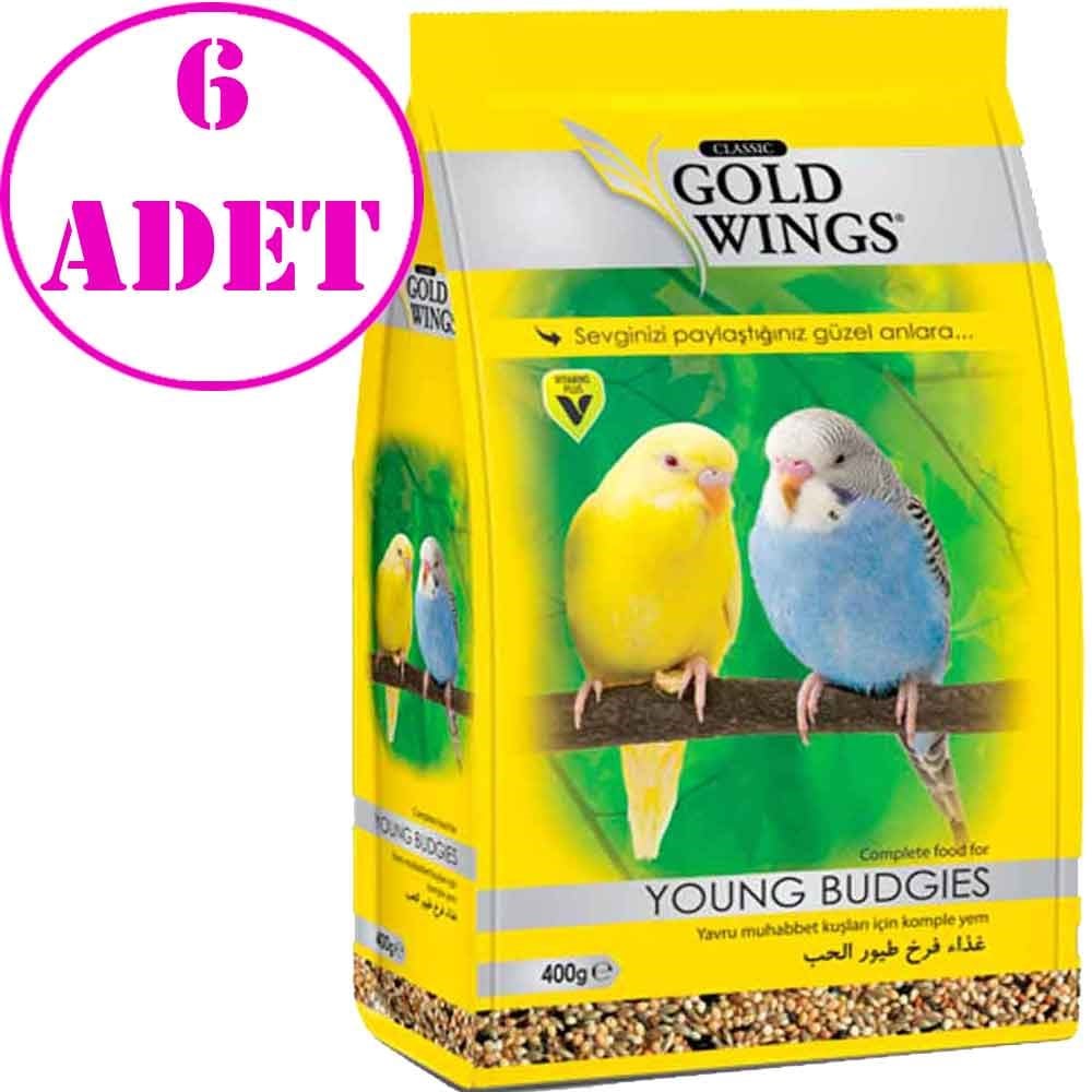 Gold Wings Classic Yavru Yemi 400 gr 6 Adet 32108385 Gold Wings Classic Yavru Kuş Yemleri Amazon Pet Center