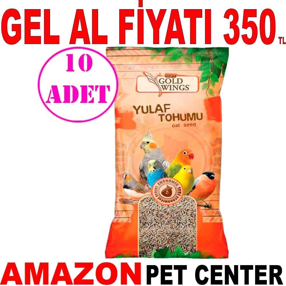 Gold Wings Yulaf 300 Gr 10 AD 22492005 Amazon Pet Center