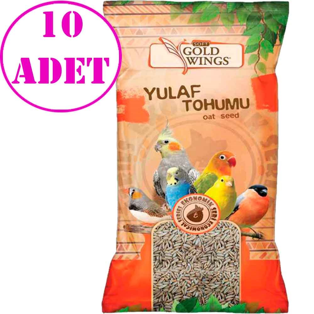 Gold Wings Yulaf 300 gr 20 Adet 32107180 Gold Wings Koli Kuş Yemleri Amazon Pet Center