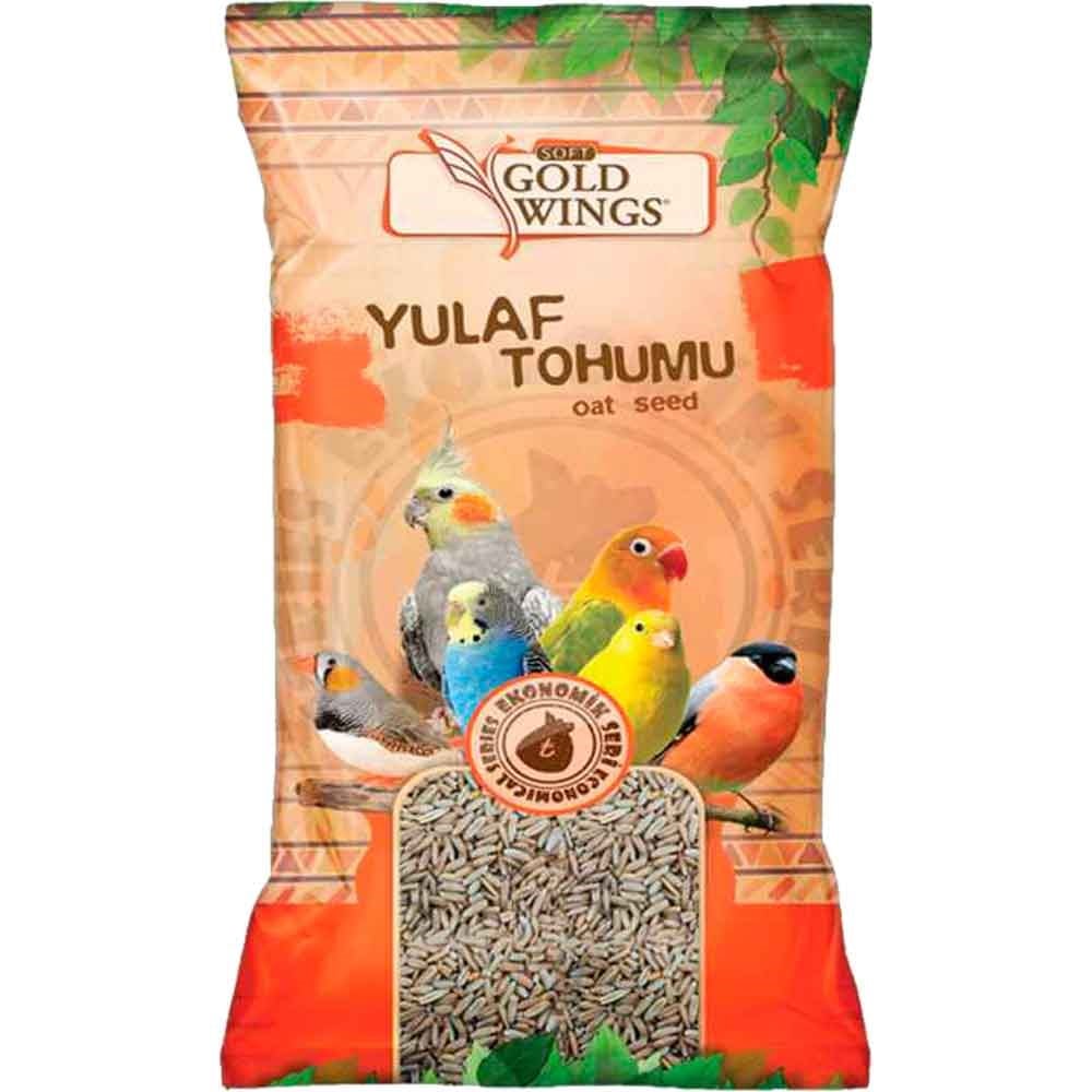 Gold Wings Yulaf 300 gr 8681299609789 Gold Wings Özel Kuş Yemleri Amazon Pet Center