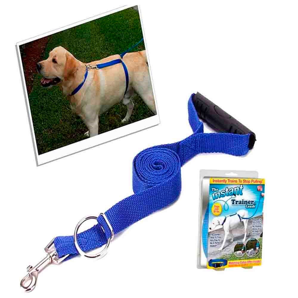 İnstant Köpek Yürüme Ve Eğitim Tasması 893621002320 Amazon Pet Köpek Eğitim Tasmaları Amazon Pet Center
