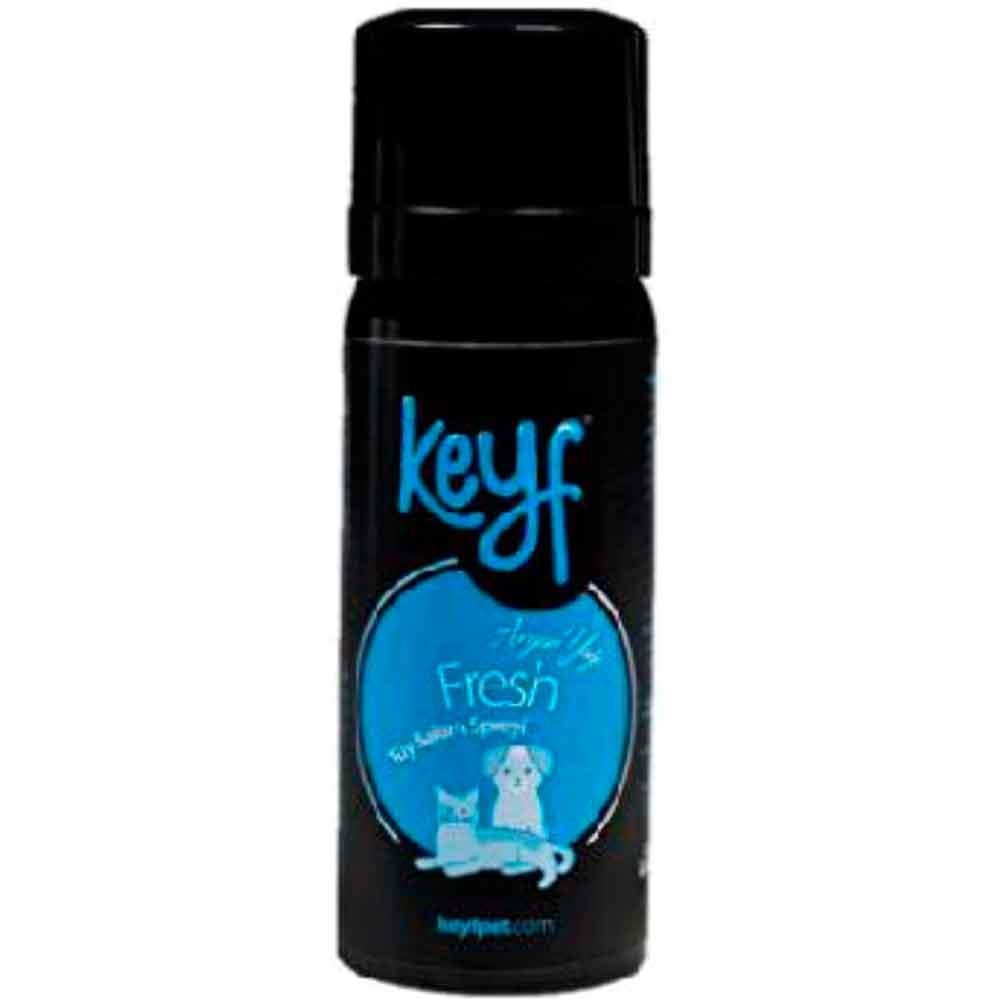 Keyf Argan Yağlı Kedi Köpek Tüy Bakım Spreyi 50 ML 8697407158308 Amazon Pet Center