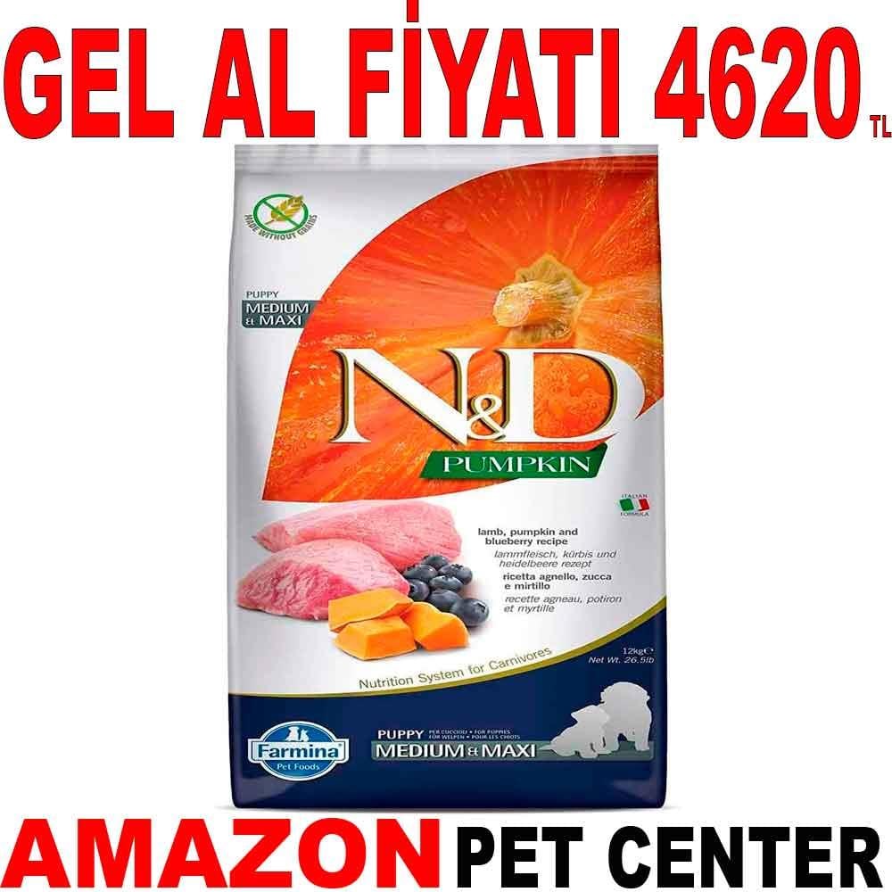 ND Balkabaklı Kuzu Etli Tahılsız  Yavru Köpek Maması 12 Kg 18650006 Amazon Pet Center