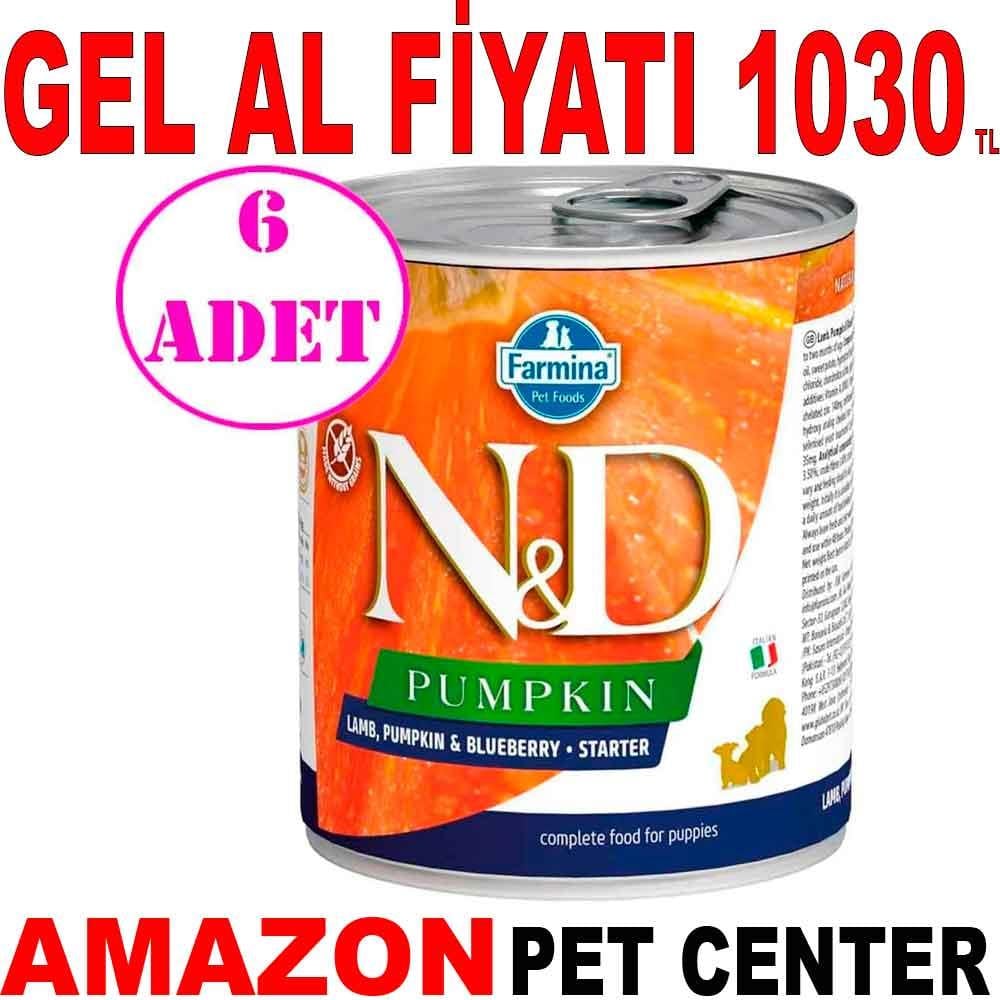 ND Balkabaklı Kuzulu Starter Mini Yavru Köpek Konservesi 285 Gr 6 AD 18758009 Amazon Pet Center