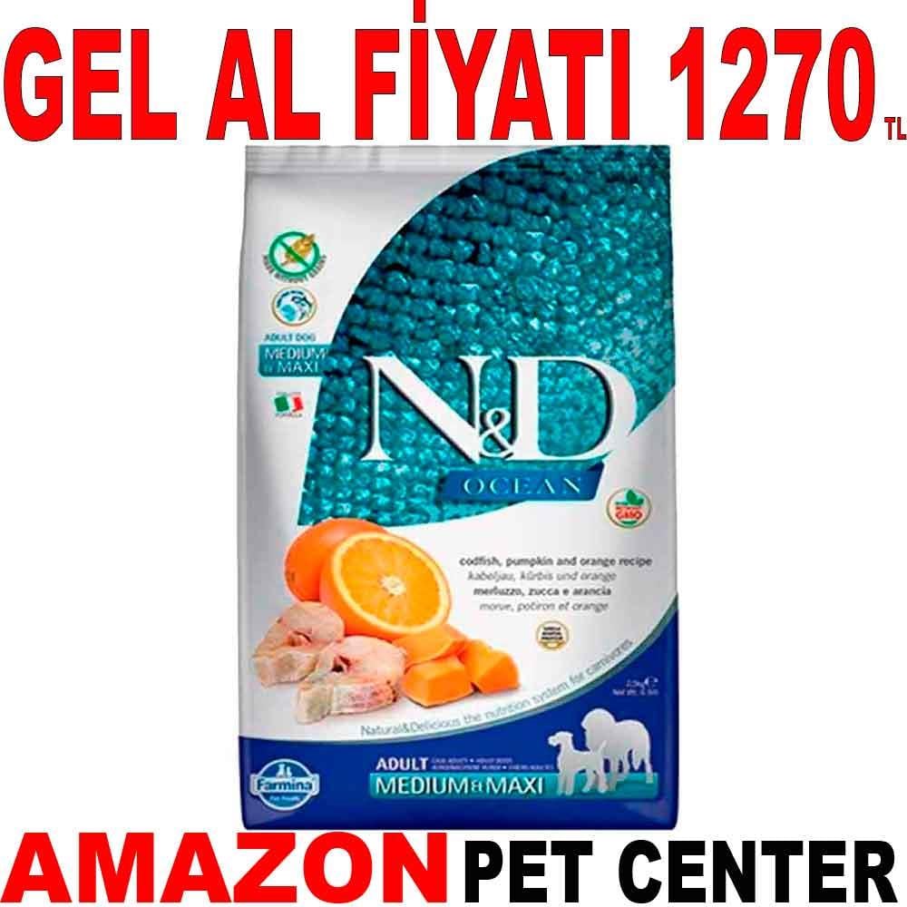 ND Balkabaklı Morina Balıklı Medium Maxi Tahılsız Köpek Maması 2.5 Kg 18665000 Amazon Pet Center