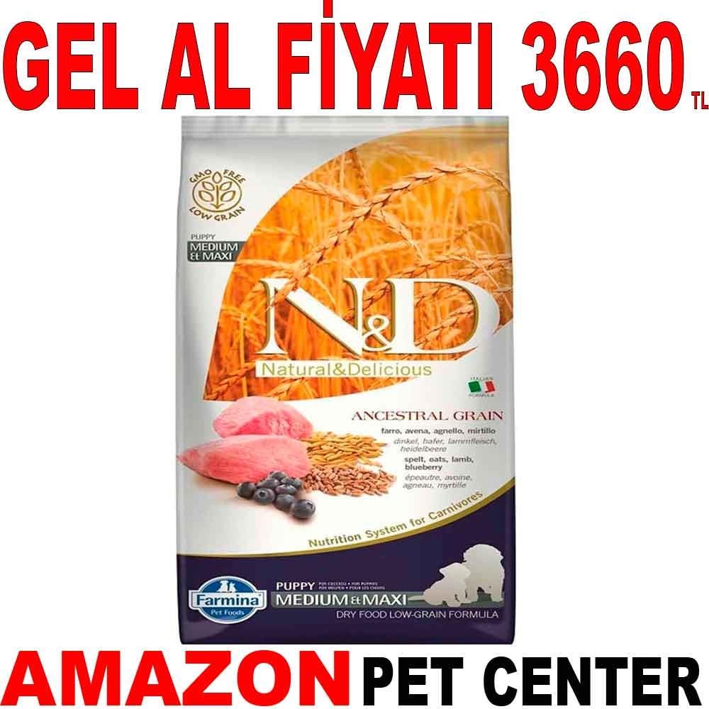 ND Düşük Tahıllı Kuzu Etli Yavru Köpek Maması 12 KG 18645002 Amazon Pet Center