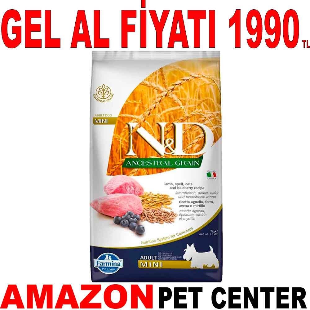 ND Natural Düşük Tahıllı Küçük Irk Köpek Maması Kuzu Etli Yaban Mersinli 7 Kg 18754001 Amazon Pet Center