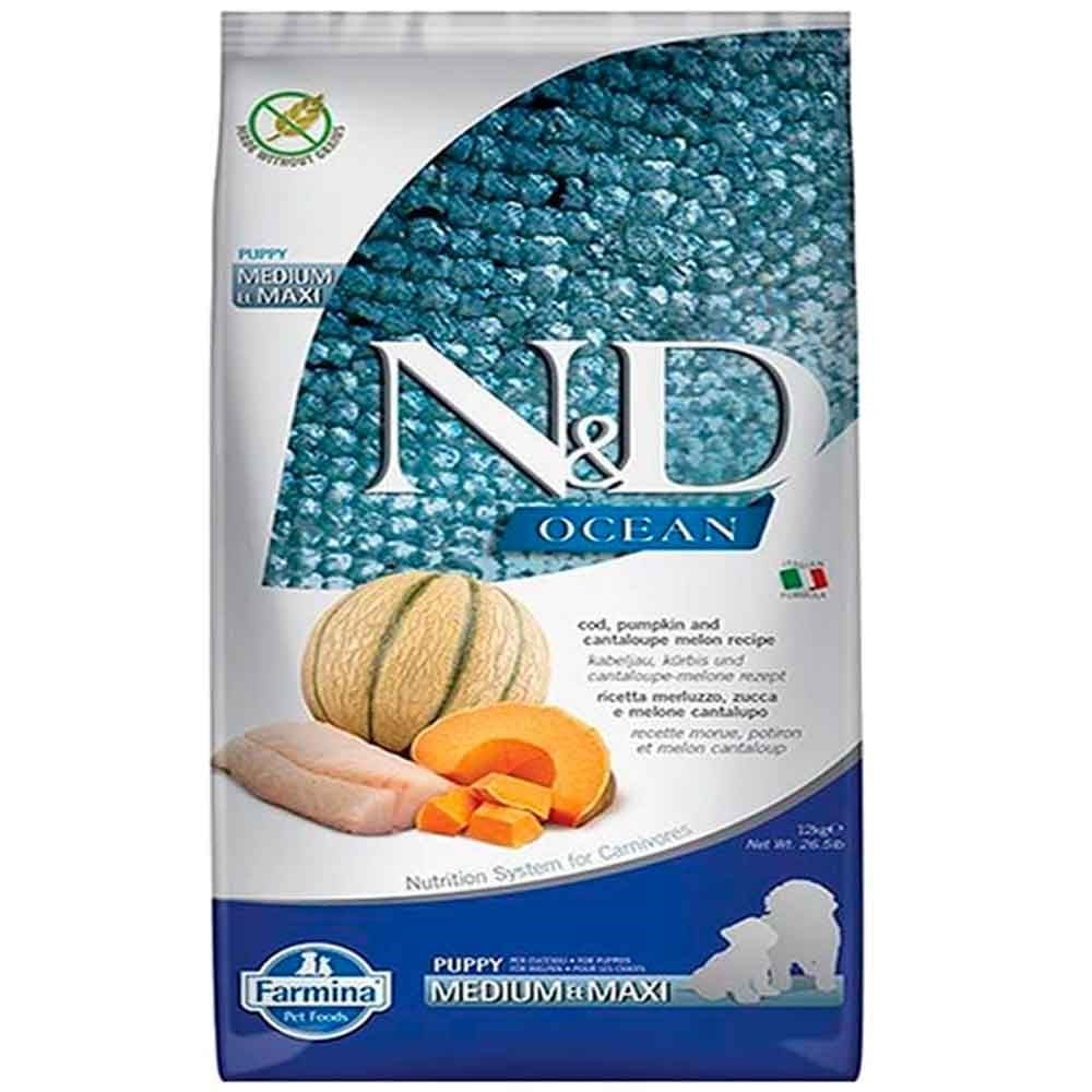 N&D Ocean Morina Balıklı Bal Kabaklı ve Kavunlu Orta ve Büyük Irk Tahılsız Yavru Köpek Maması 12 Kg 8010276038821 Amazon Pet Center