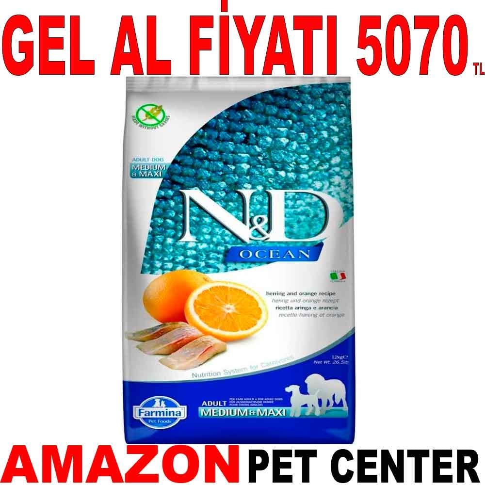 N&D Ocean Ringa Balıklı ve Portakallı Tahılsız Orta ve Büyük Irk Yetişkin Köpek Maması 12 Kg 18654004 Amazon Pet Center