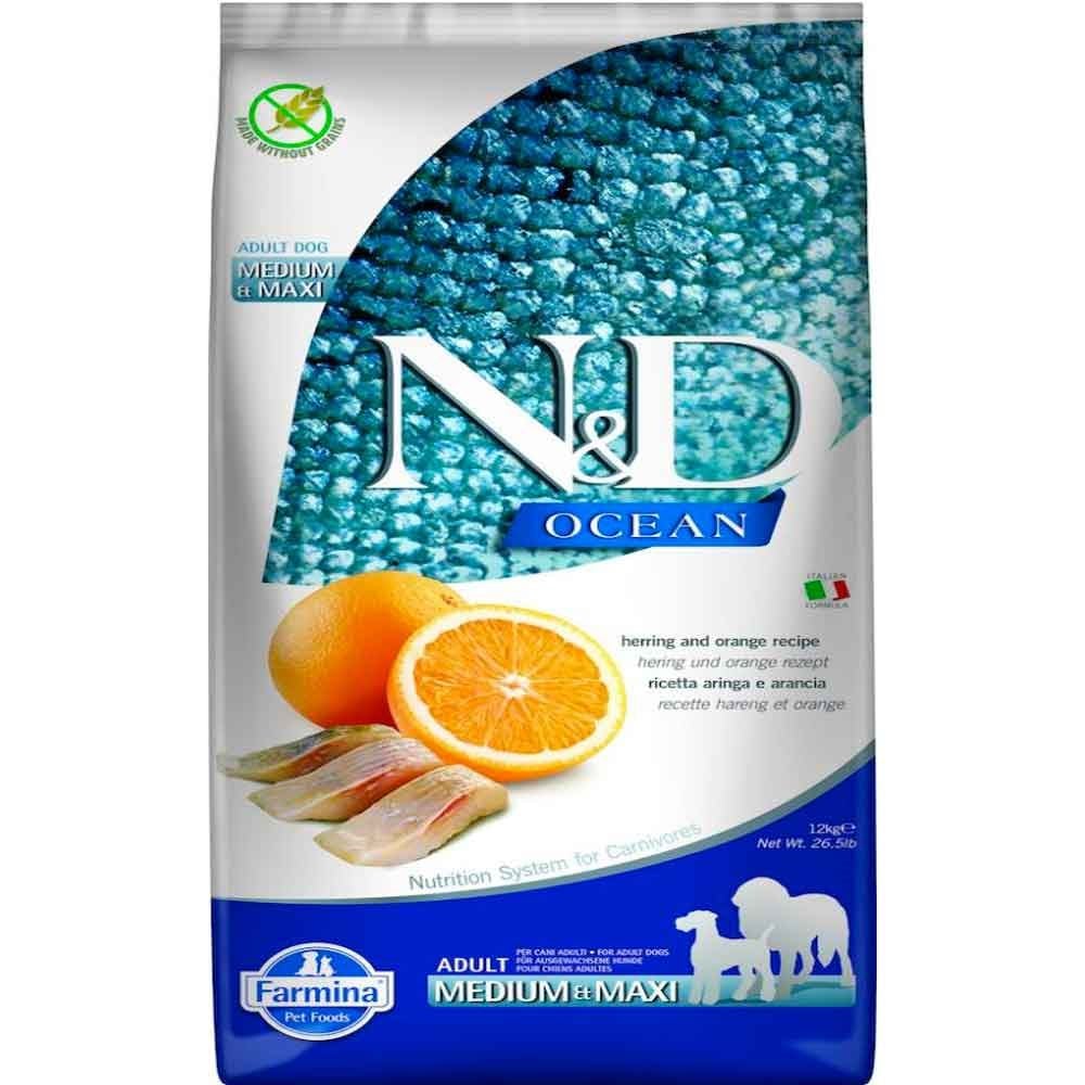 N&D Ocean Ringa Balıklı ve Portakallı Tahılsız Orta ve Büyük Irk Yetişkin Köpek Maması 12 Kg 8010276036490 Amazon Pet Center