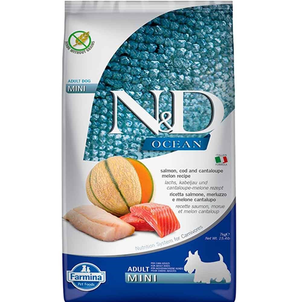 N&D Ocean Somon Morina Balığı Kavunlu Küçük Irk Yetişkin Köpek Maması 7Kg 8010276039323 Amazon Pet Center