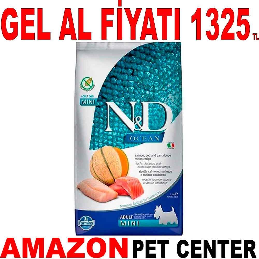 N&D Ocean Somon ve Morina Balıklı Kavunlu Tahılsız Küçük Irk Yetişkin Köpek Maması 2.5 Kg 18778007 Amazon Pet Center