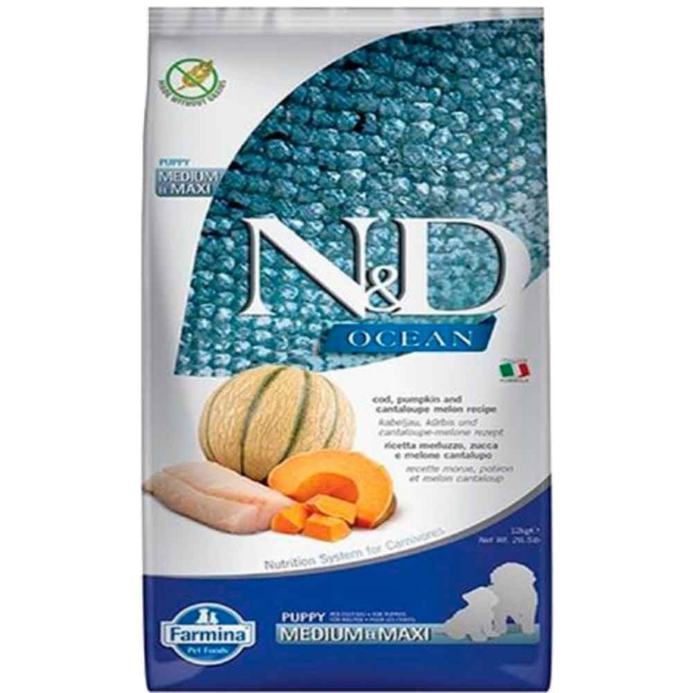 N&D Ocean Yavru Köpek Maması Balkabaklı Morina ve Kavunlu 2.5 Kg 8010276038807 Amazon Pet Center
