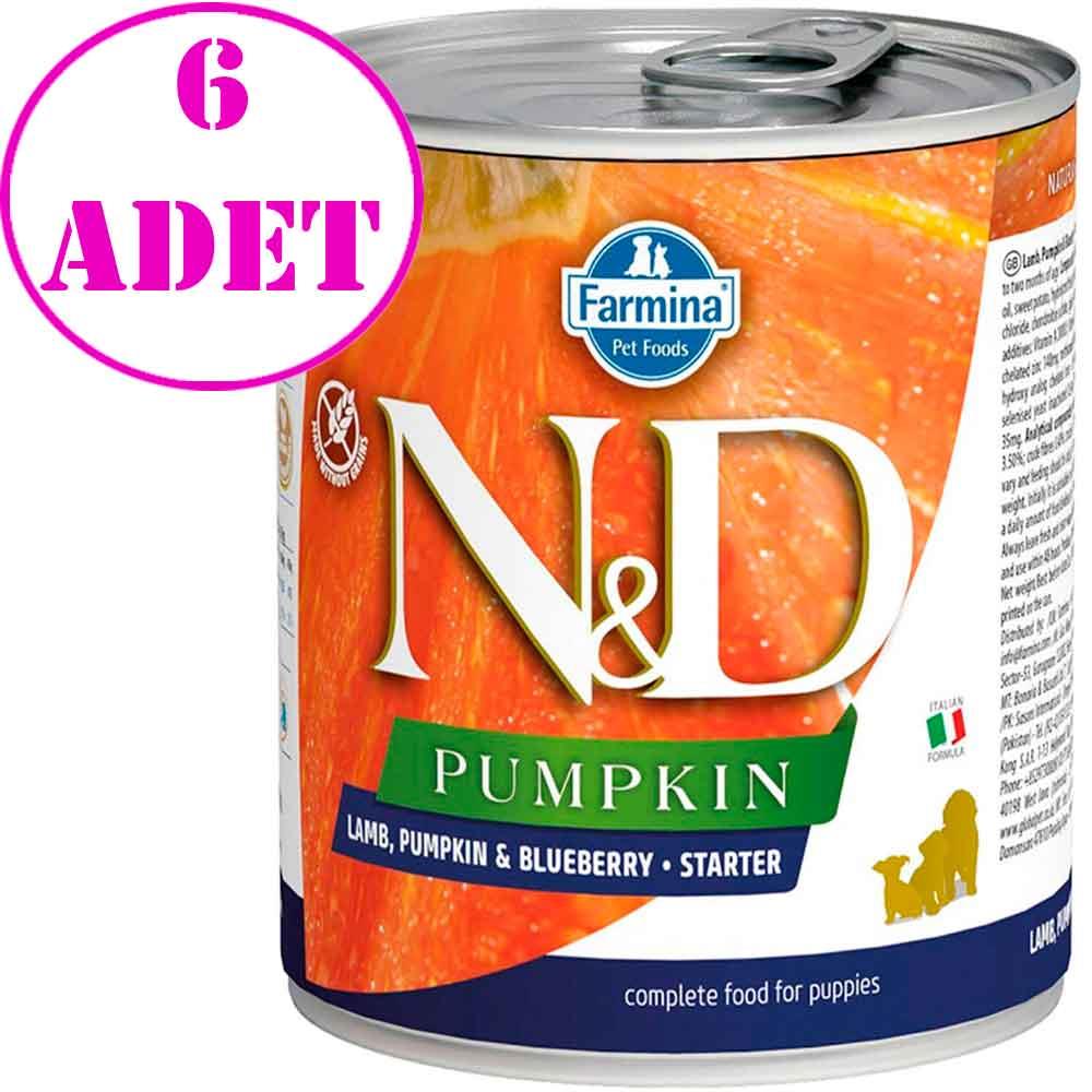 N&D Pumpkin Balkabaklı Kuzulu Yavru Köpek Konservesi 285 Gr 6 AD 32136937 Amazon Pet Center