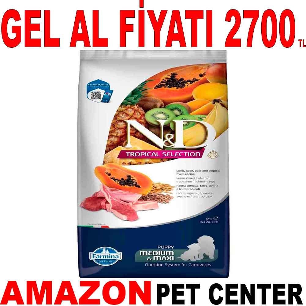 ND Tropical Meyveli Kuzu Etli Orta ve Büyük Irk Yavru Köpek Maması 10 Kg 19447001 Amazon Pet Center