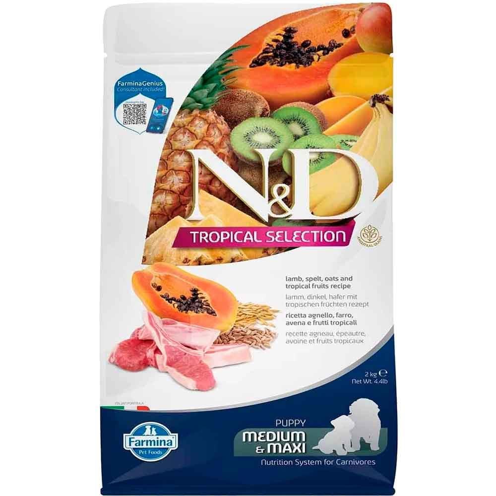 ND Tropical Meyveli Orta ve Büyük Irk Yavru Köpek Maması Kuzu Etli 2 Kg 8010276042415 Amazon Pet Center
