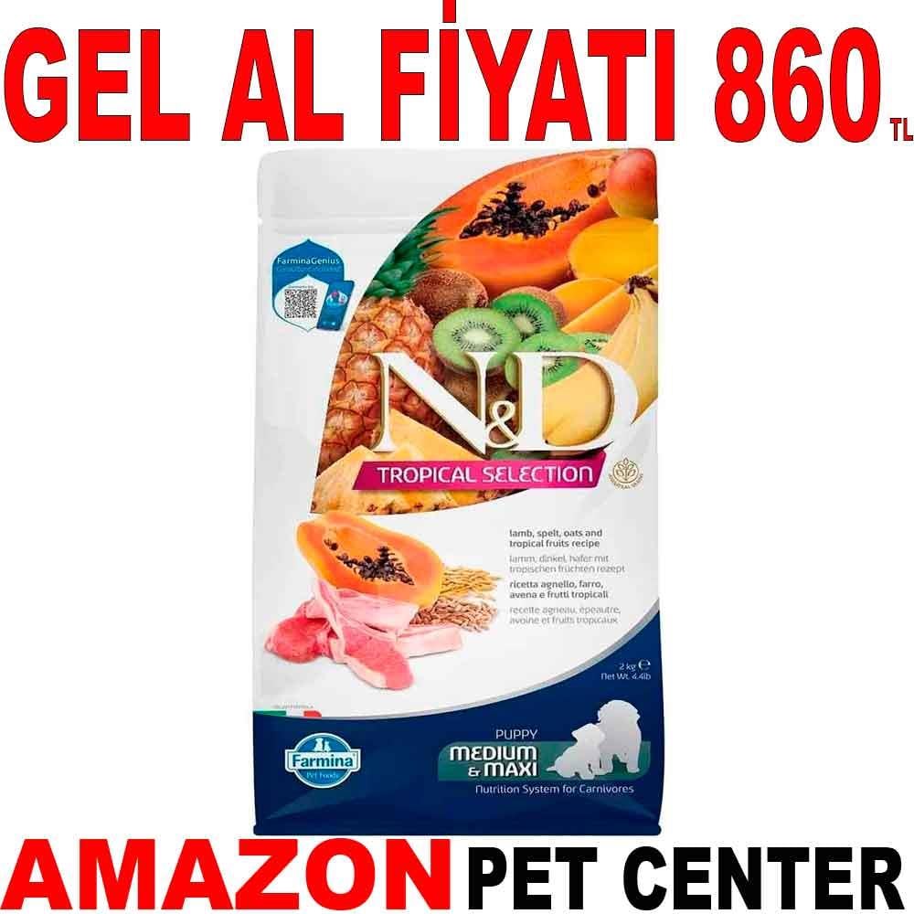 ND Tropical Meyveli Orta ve Büyük Irk Yavru Köpek Maması Kuzu Etli 2 Kg 19229003 Amazon Pet Center