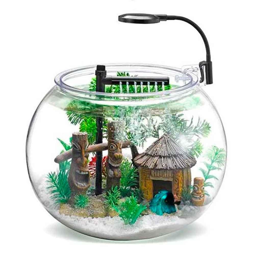 Nubios Masa Üstü Beta Seti Acrylic Faunus 12 Lt 774229142727 Amazon Pet Center