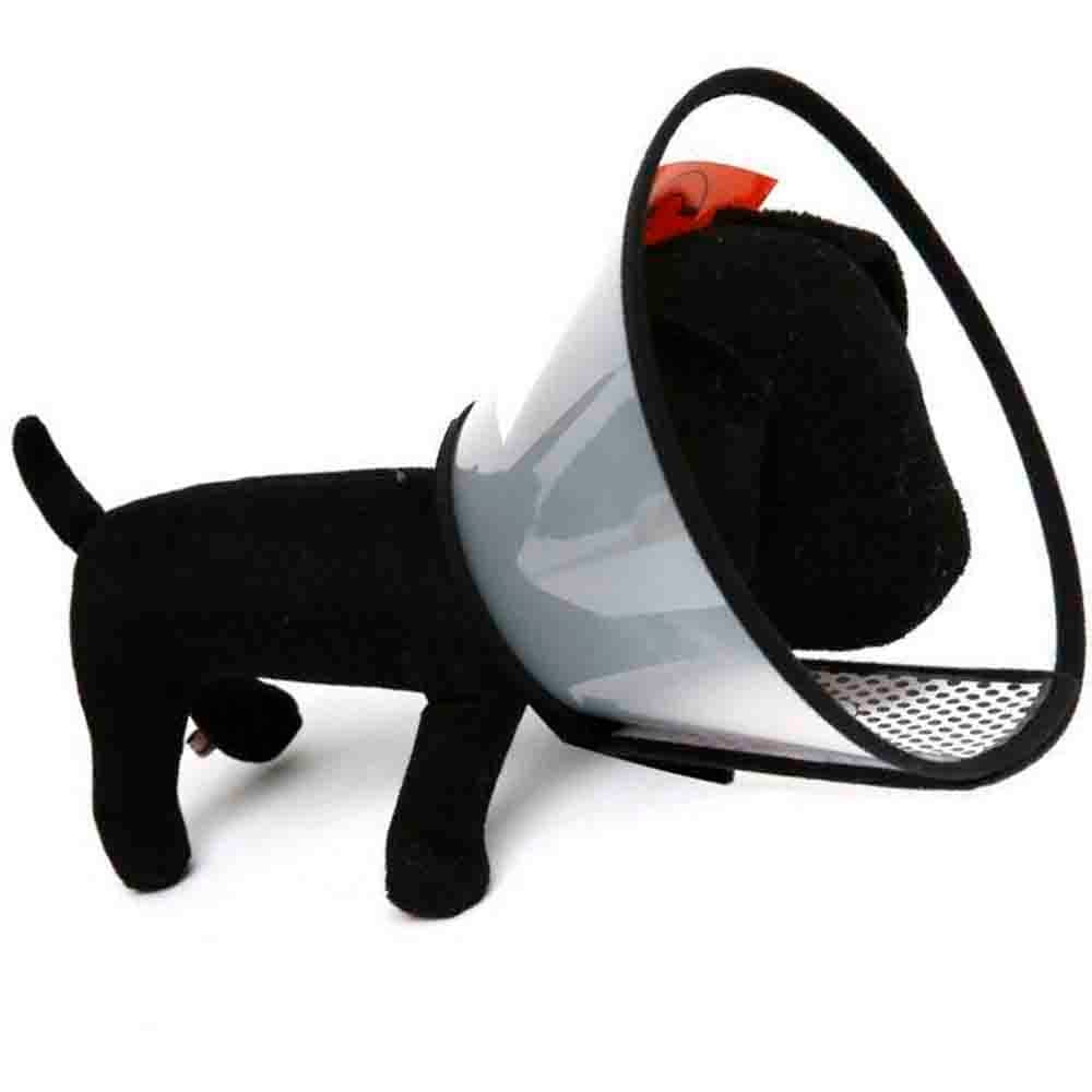 Nunbell Elizabeth Yakalık No:4 46 Cm 6927057028143 Amazon Pet Center