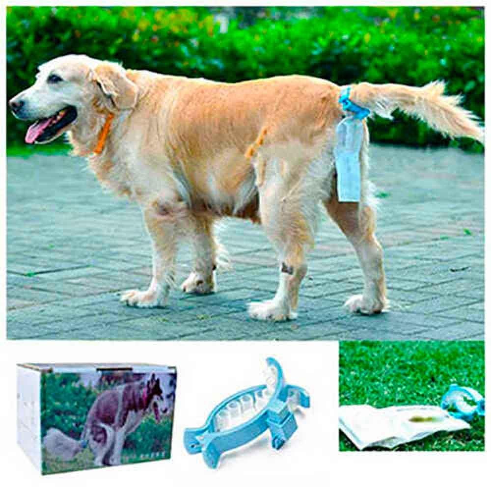 Pawise Köpek Kuyruğuna Takılan Dışkı Toplama Aparatı 1677001452009 Amazon Pet Center