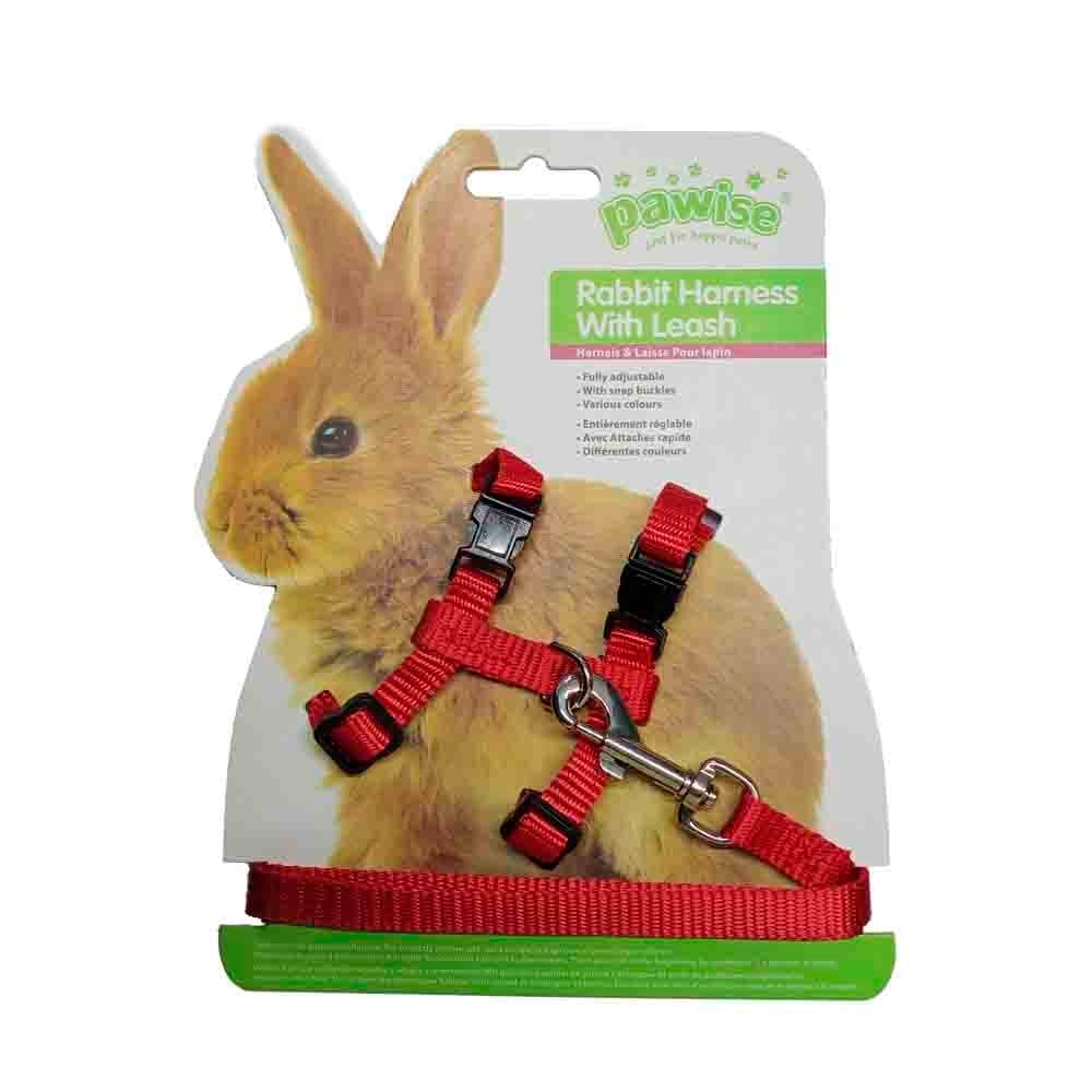 Pawise Tavşan Göğüs Tasması Takımı Kırmızı 8886467590887 Amazon Pet Center