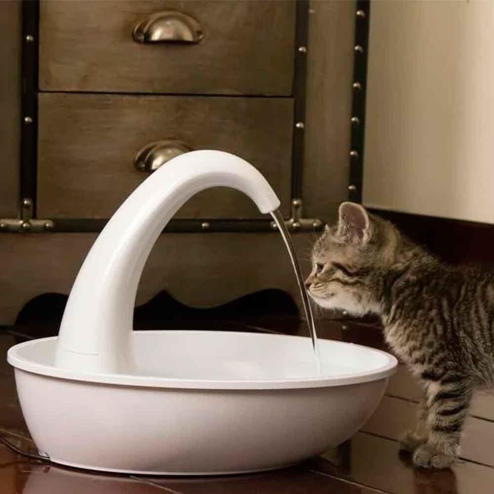 Pioneer Pet Kedi Köpek Suluğu Plastik Kuğu 80 Oz. 2,4 Lt 853442005429 Amazon Pet Center