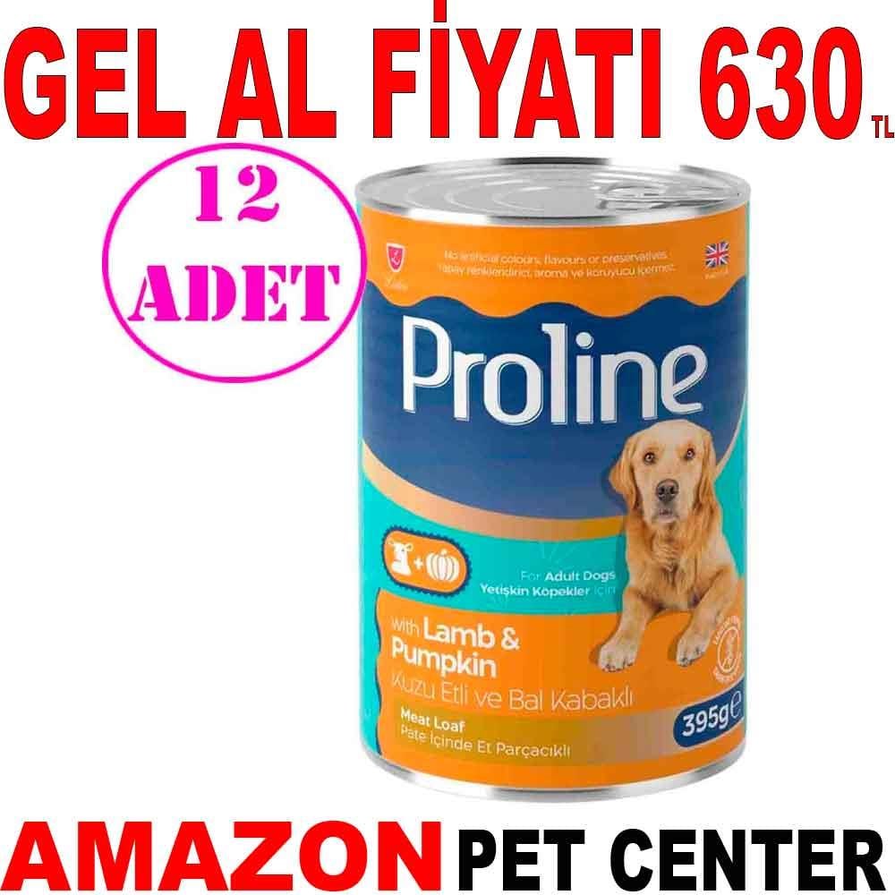 Pro Line Kuzu Etli Bal Kabaklı Pate Köpek Konserve Maması 395 Gr 12 AD 20573003 Amazon Pet Center