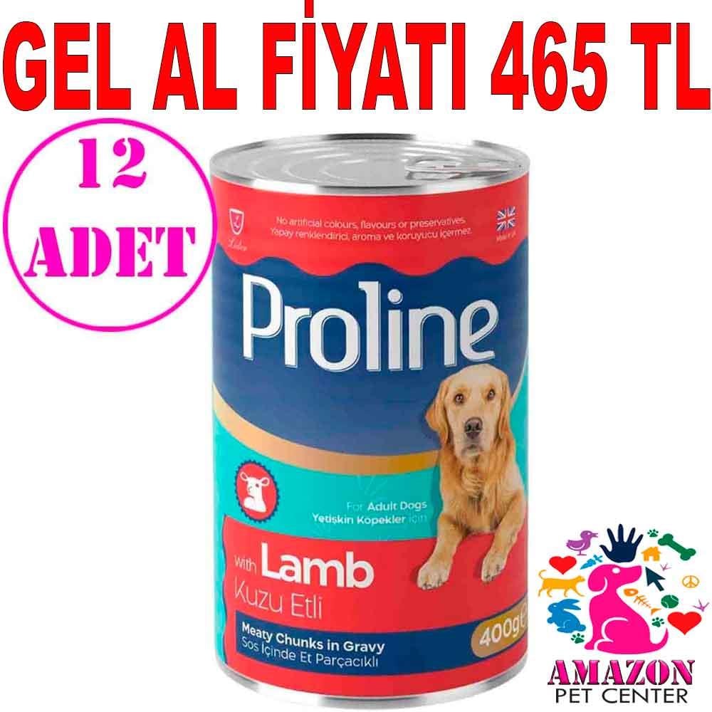 Pro Line Kuzu Etli Köpek Konserve Maması 400 Gr 12 AD 20567002 Amazon Pet Center