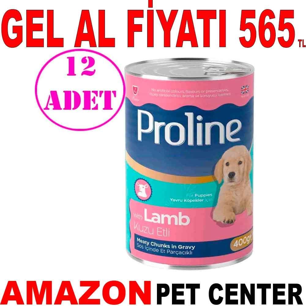 Pro Line Kuzu Etli Yavru Köpek Konserve Maması 400 Gr 12 AD 20576004 Amazon Pet Center
