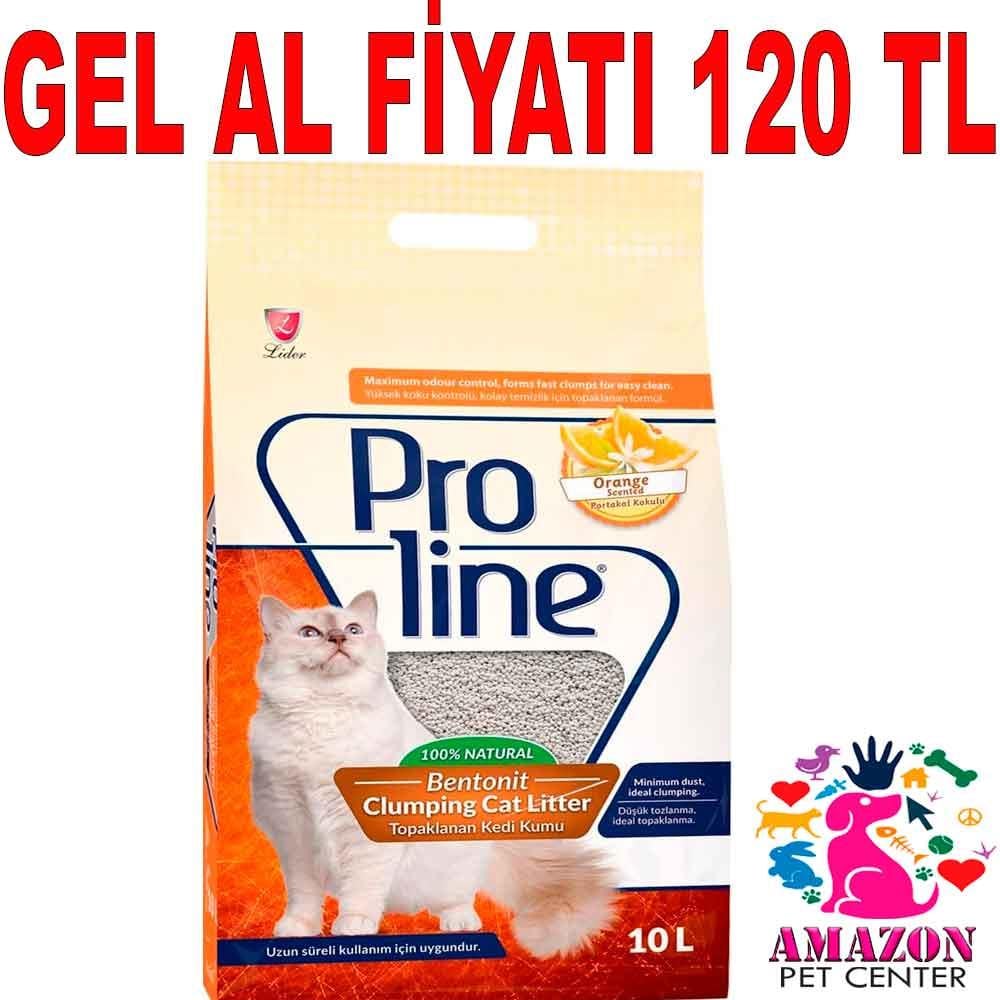 Pro Line Portakal Kokulu Kedi Kumu İnce Taneli 10lt 19058009 Amazon Pet Center