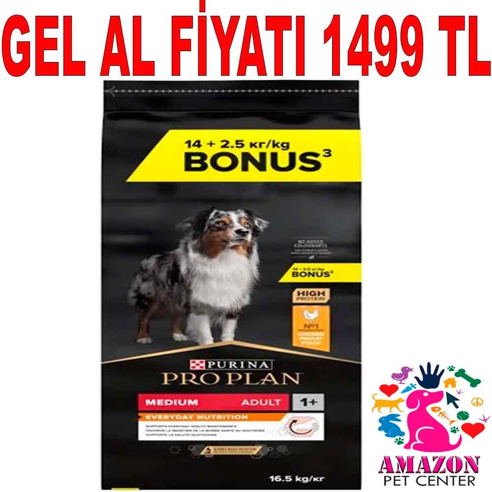 Pro Plan Köpek Maması Medium Adult Tavuklu 16,5 Kg 20169008 Amazon Pet Center