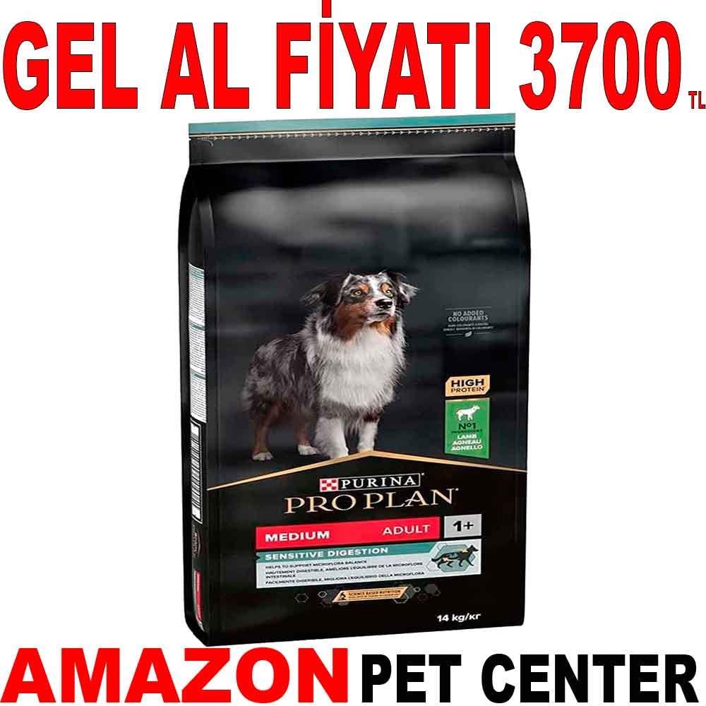 Pro Plan Kuzu Etli Köpek Maması 14 Kg 19998008 Amazon Pet Center