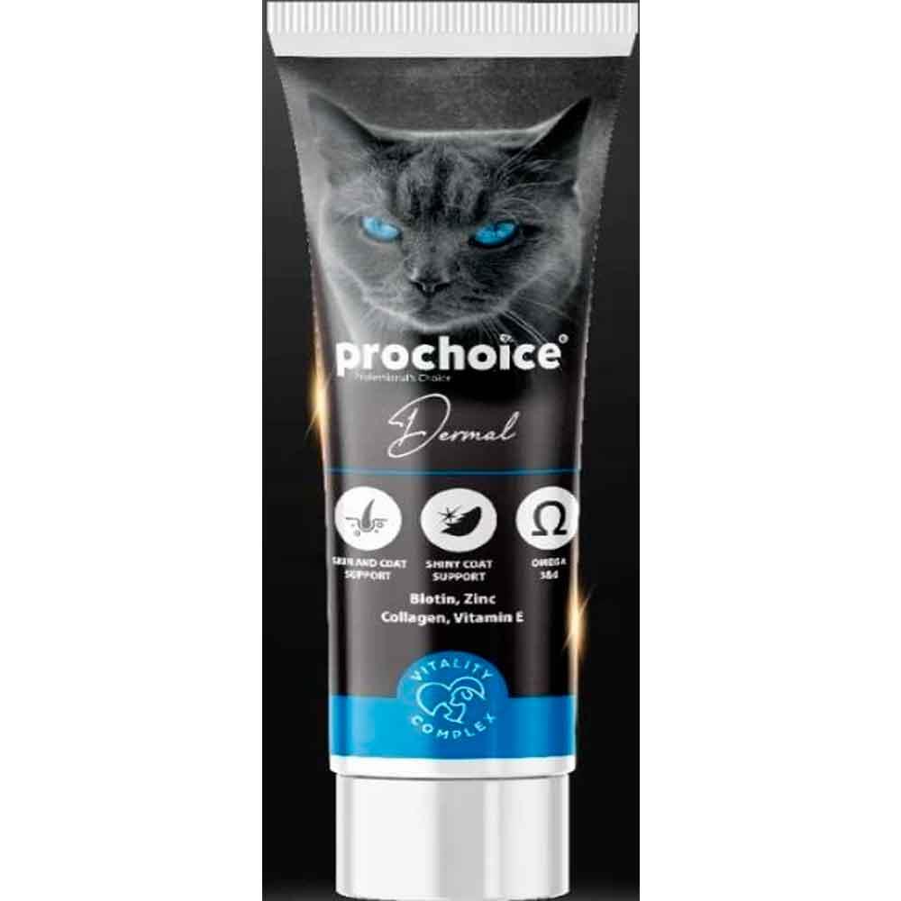 Prochoice Dermal Kedi Deri Ve Tüy Sağlığı İçin Biyotin içerikli Paste 100 Ml 8681465609551 Amazon Pet Center