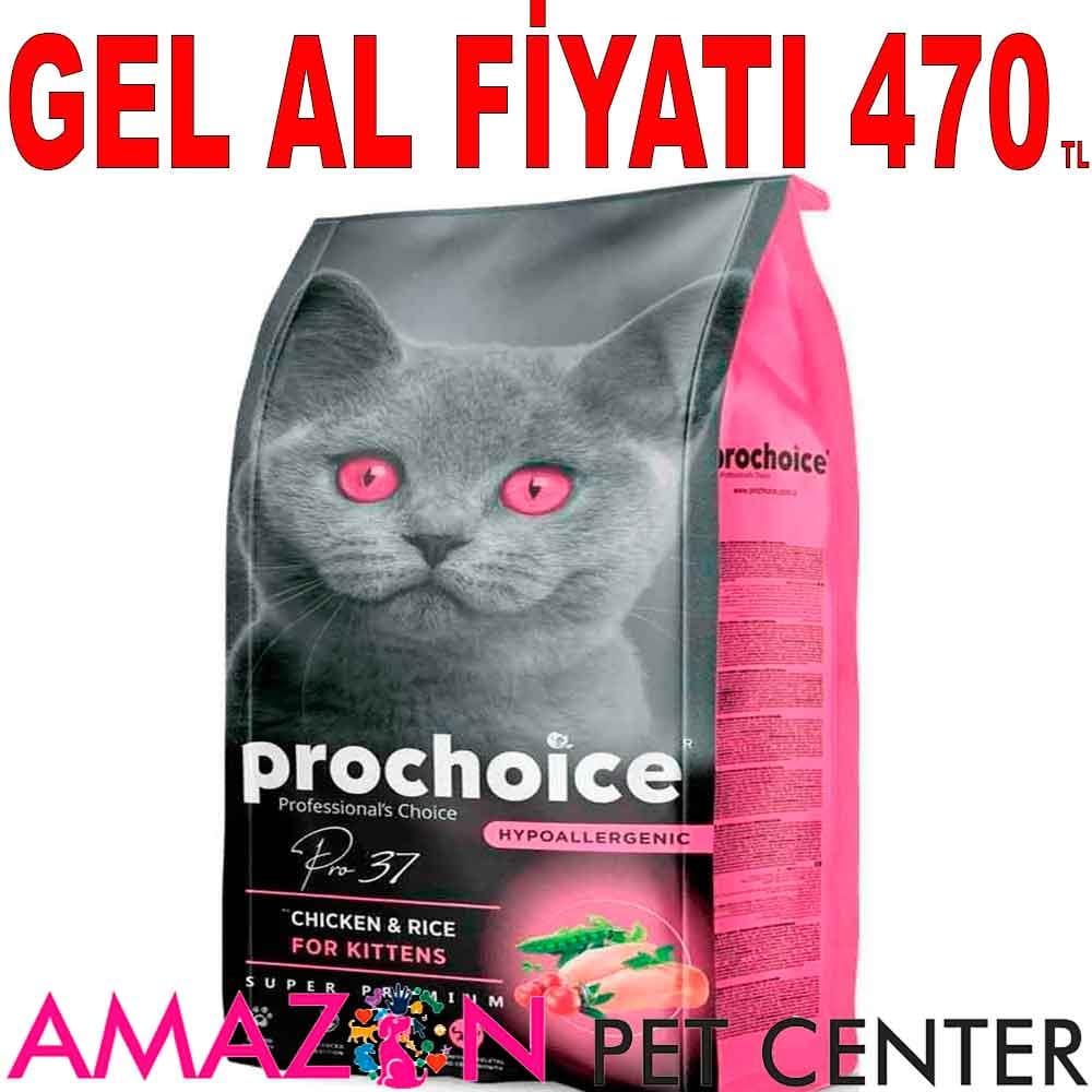 ProChoice Yavru Kedi Maması Tavuklu 2 Kg 18921007 Amazon Pet Center