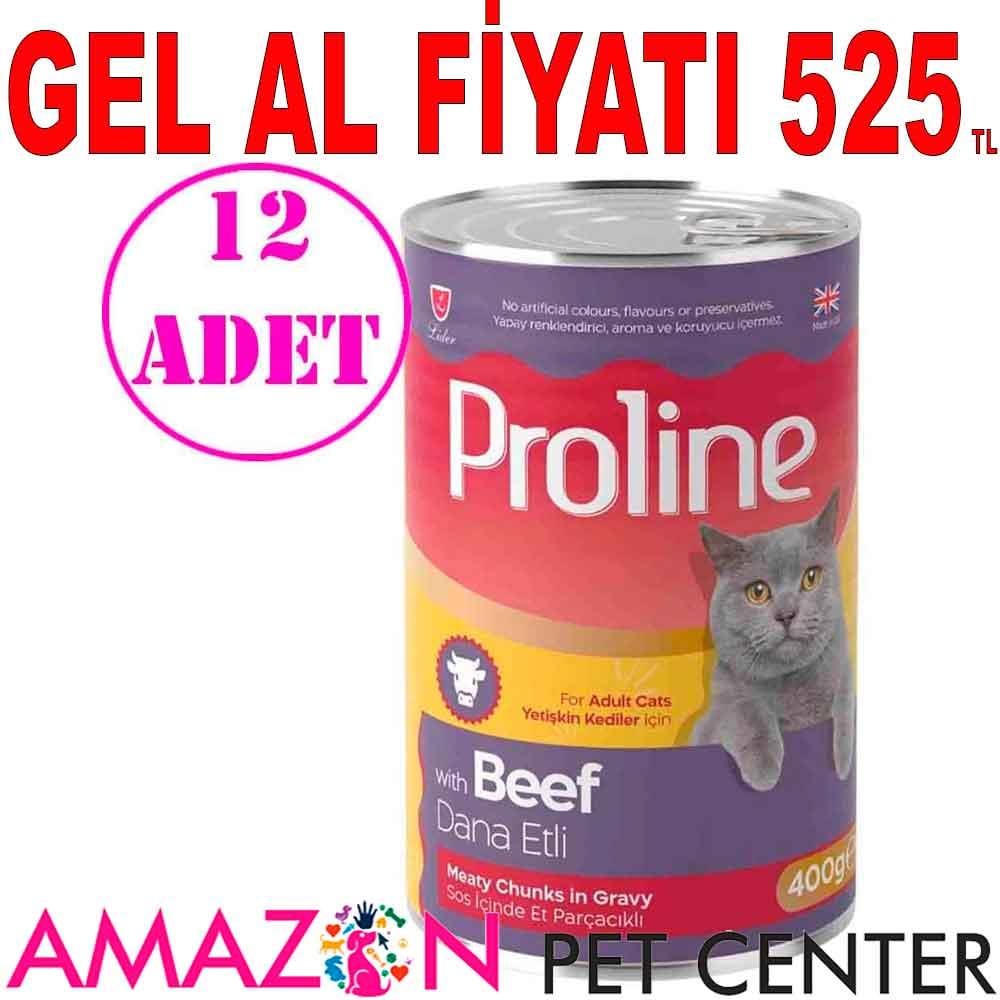 Proline Kedi Konserve Maması Biftekli 400 Gr 12 AD 20582005 Amazon Pet Center
