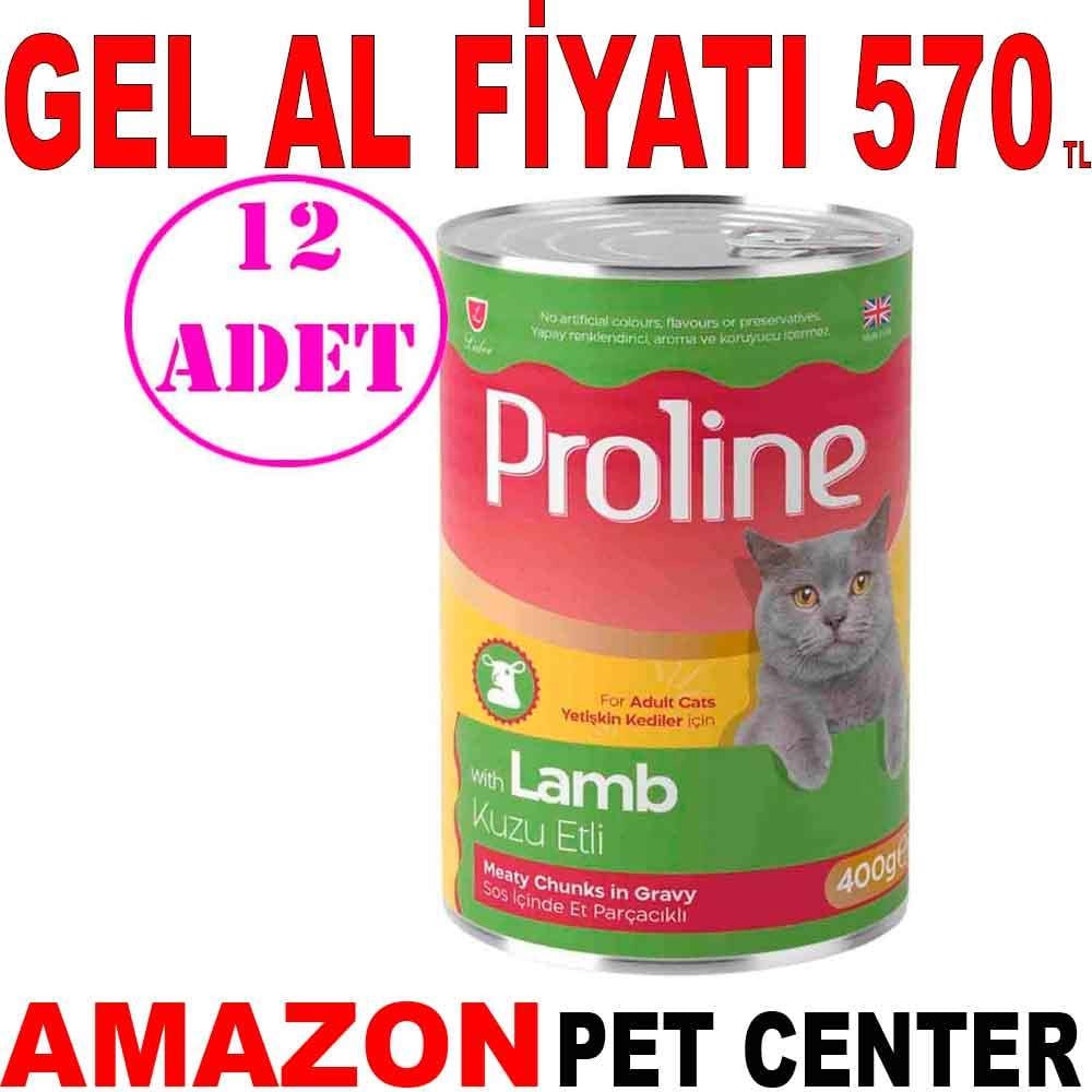Proline Kedi Konserve Maması Kuzu Etli 400 Gr 12 AD 20585006 Amazon Pet Center