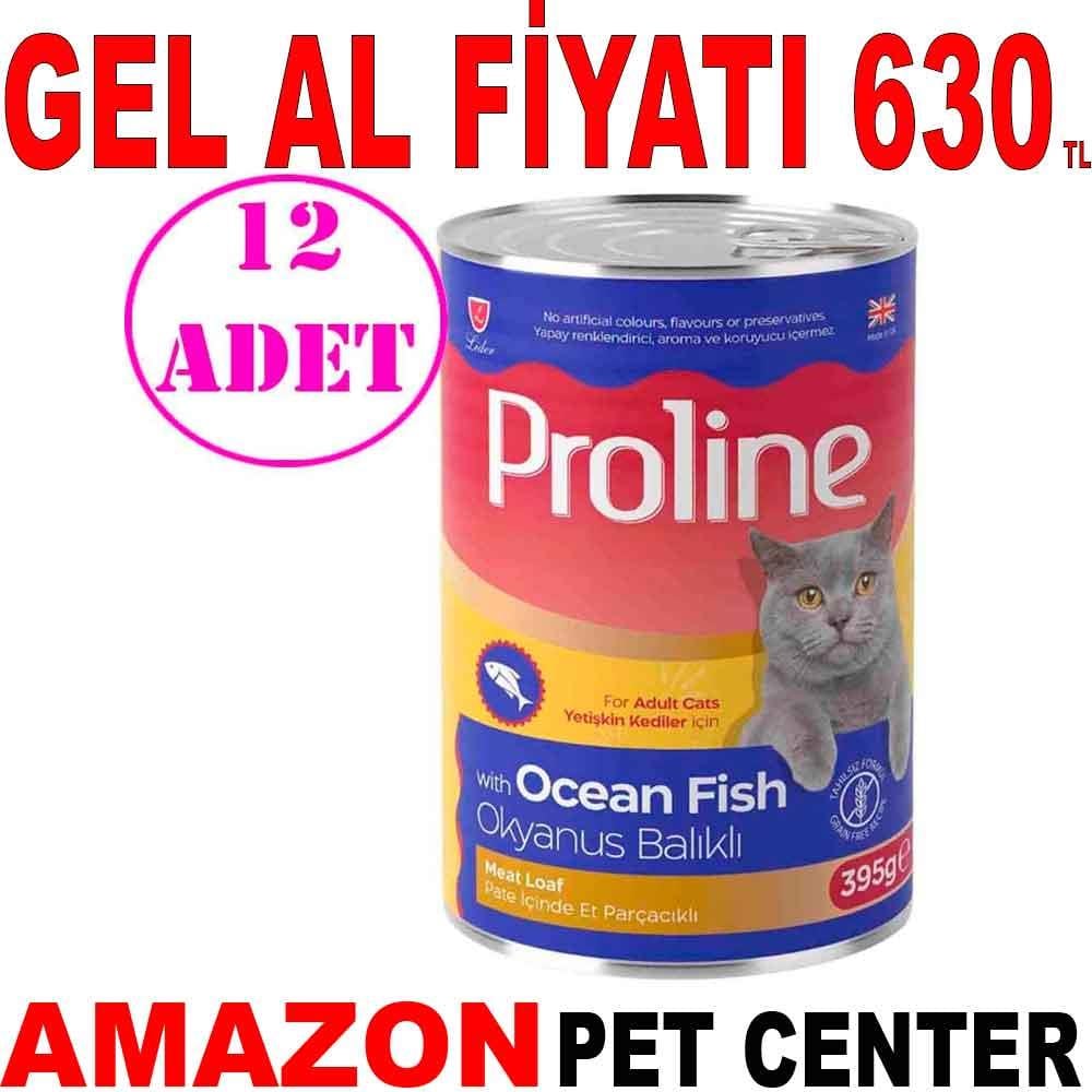 Proline Kedi Konserve Maması Pate Okyanus Balıklı 395 Gr 12 AD 20597009 Amazon Pet Center