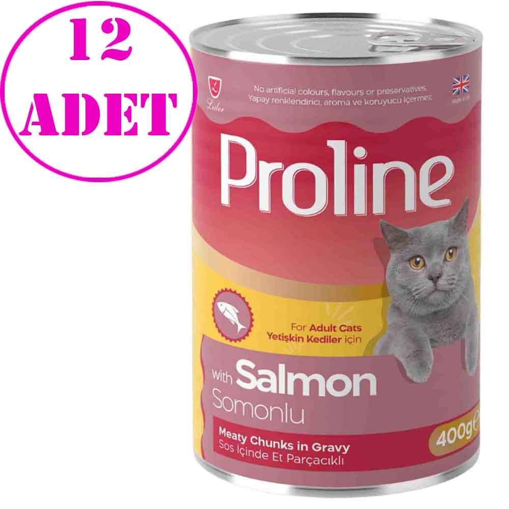 Proline Kedi Konserve Maması Somonlu 400 Gr 12 AD 20587000 Amazon Pet Center