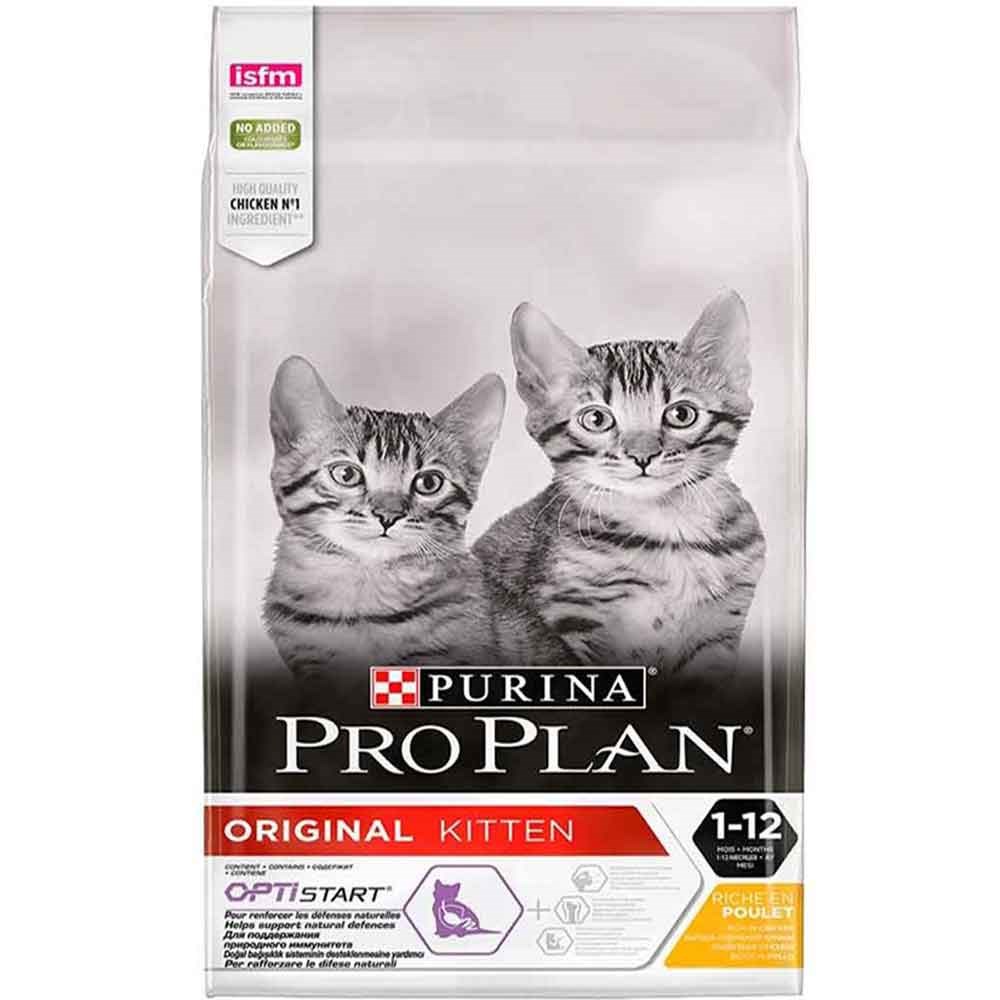 Proplan Kitten Yavru Kedi Maması 3 Kg 7613036505277 Pro Plan Yavru Kedi Mamaları Amazon Pet Center