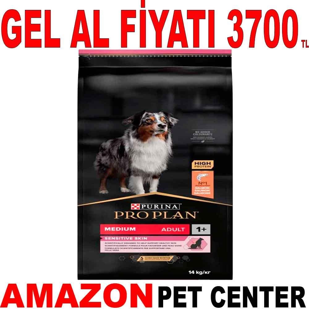 Proplan Somonlu Yetişkin Köpek Maması 14 Kg 18905007 Amazon Pet Center
