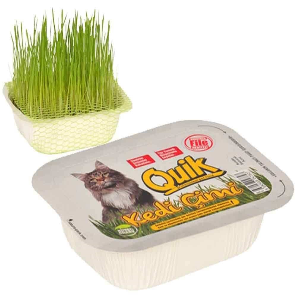 Quik Kedi Çimi 8680468047827 Quik Kedi Vitamin Ve Ek Besinleri Amazon Pet Center