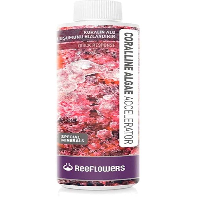 Reeflowers Coralline Algae 250 Ml 8680716331043 Reeflowers Deniz Akvaryumu Katkıları Amazon Pet Center