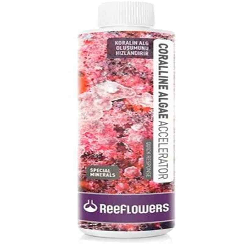 Reeflowers Coralline Algae 500 ml 8680716331050 Reeflowers Deniz Akvaryumu Katkıları Amazon Pet Center