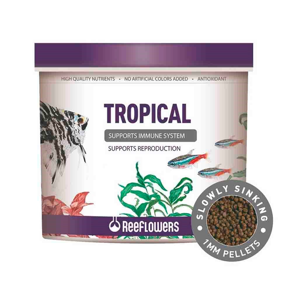 ReeFlowers Tropical 8 Lt 8680716338882 Amazon Pet Center