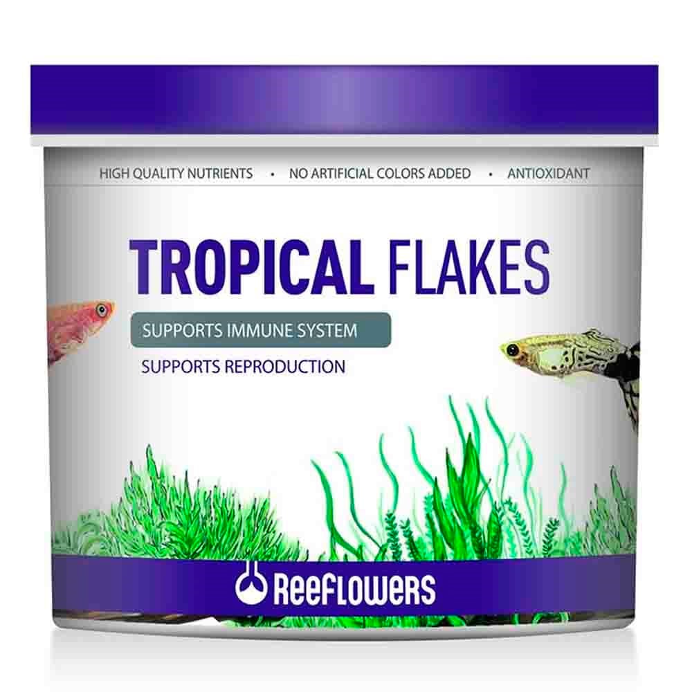 ReeFlowers Tropical Flakes Balık Yemi 8 Lt 8680716338981 Amazon Pet Center