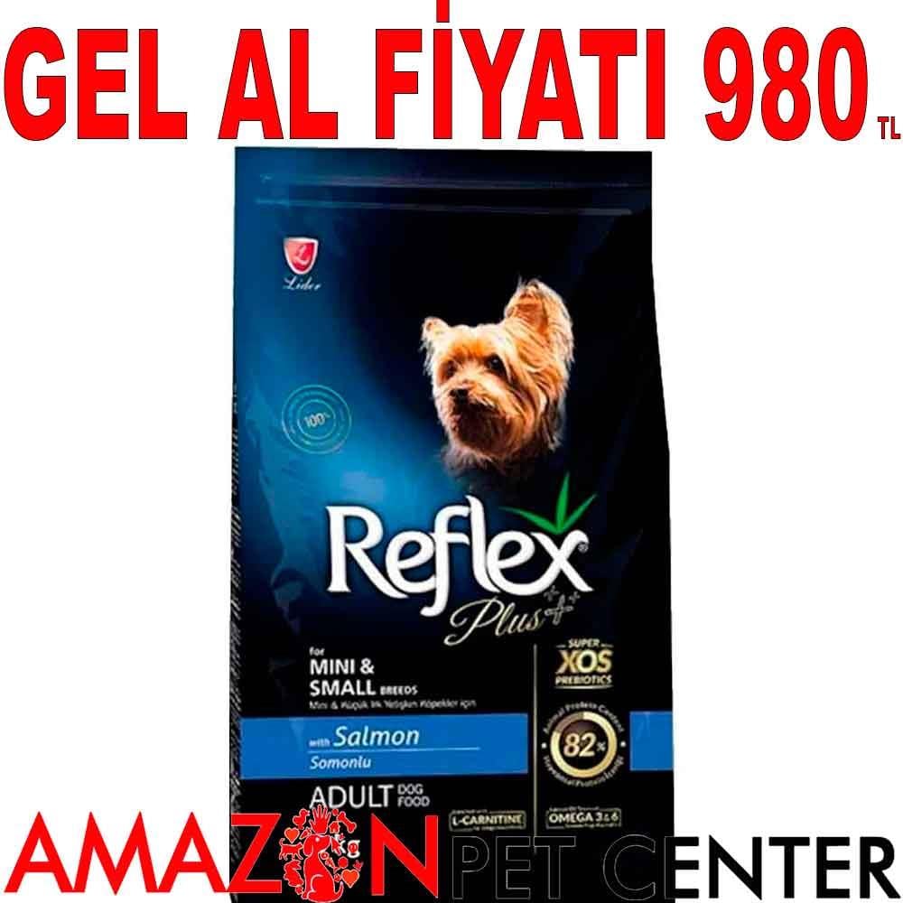 Reflex Plus Küçük Mini Irk Somonlu Yetişkin Köpek Maması 8 Kg 18980004 Amazon Pet Center