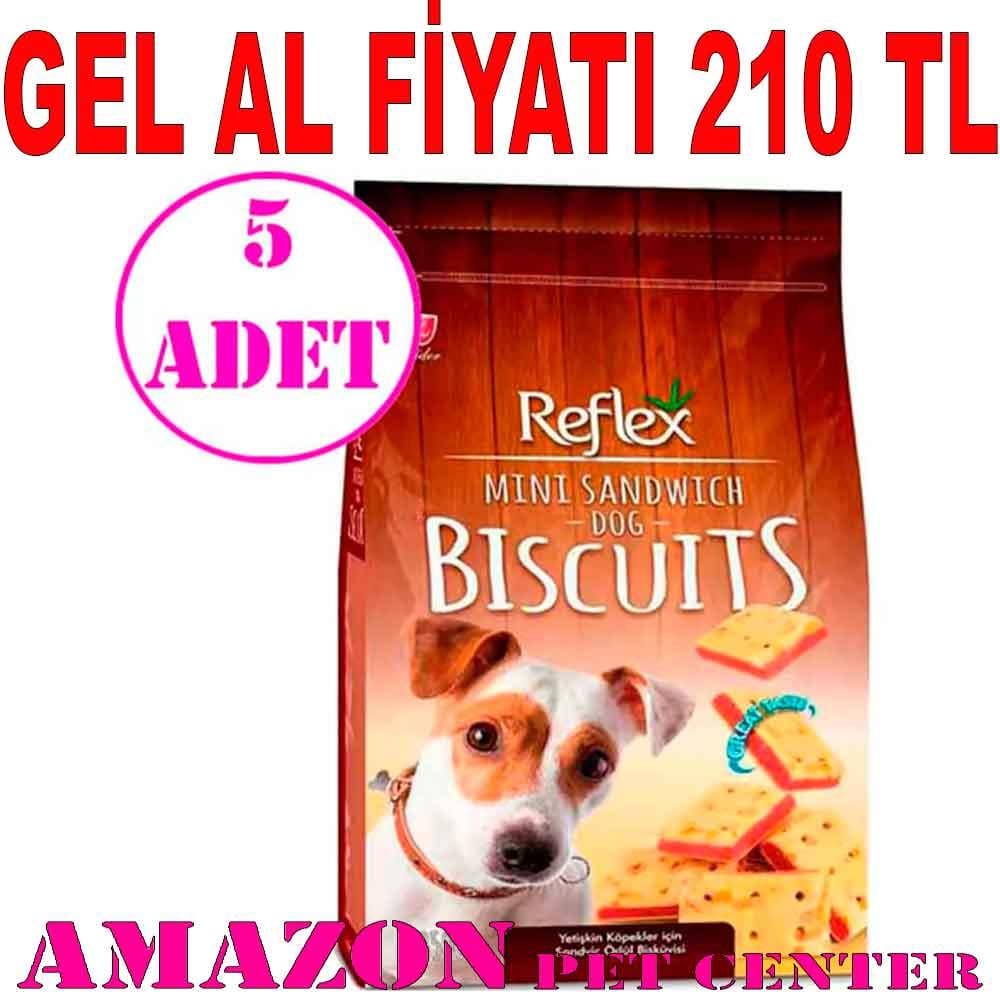 Reflex Sandviç Kare Peynirli Köpek Ödül Bisküvisi 350 Gr 5 AD 19340005 Amazon Pet Center