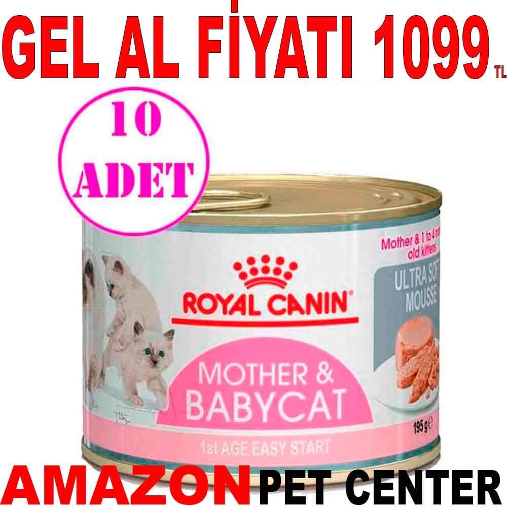 Royal Canin Babycat Instinctive Konserve 195 Gr 10 Ad 18319002 Amazon Pet Center